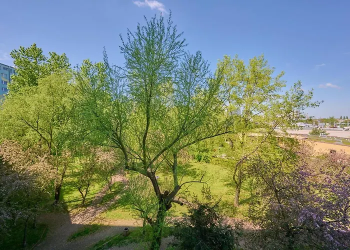 Beautiful & Bright Krynicka For 3 Guests By Renters Appartement